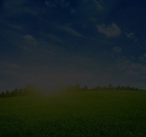 muskoka real estate brokerage